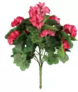 Pelargonium mörk rosa 39 cm - Andra vackra saker - 6410416529882 - 3