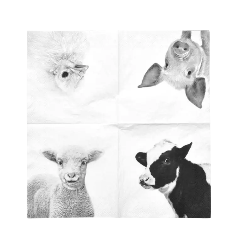 Servett Gård svartvit - Andra vackra saker - 8714982159602 - 1