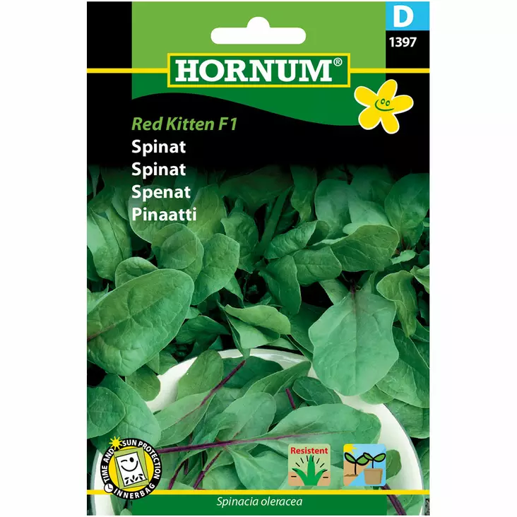 Porslinsspinaatt 'Red Kitten F1' - Frön och sättpotatisar. - 5708787013972 - 1