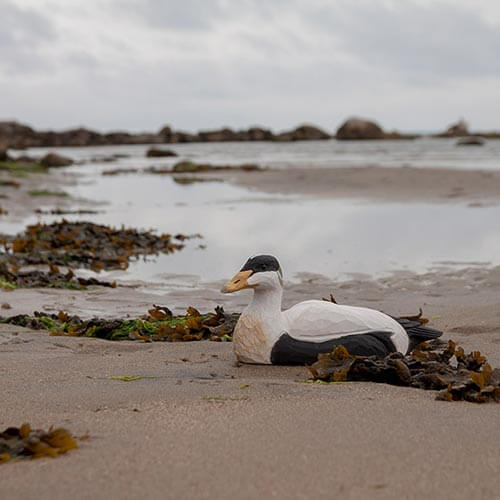 Wildlife Garden dekorationfågel Gräsand - Naturrelaterade produkter - 7350054762182 - 1