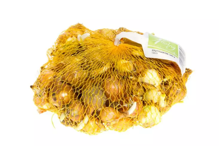 Gul lök Stur BC 20 21/24 500g - Frön och sättpotatisar. - 8713793001872 - 1