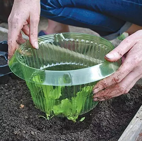 Etanahalsband 3 st/fp - Andra avskräckningsmedel - 5036200120892 - 1