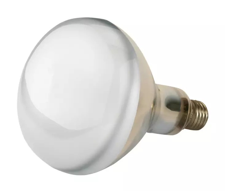 Infraröd lampa 250W transparent - Fjäderfä - 4018653222522 - 1