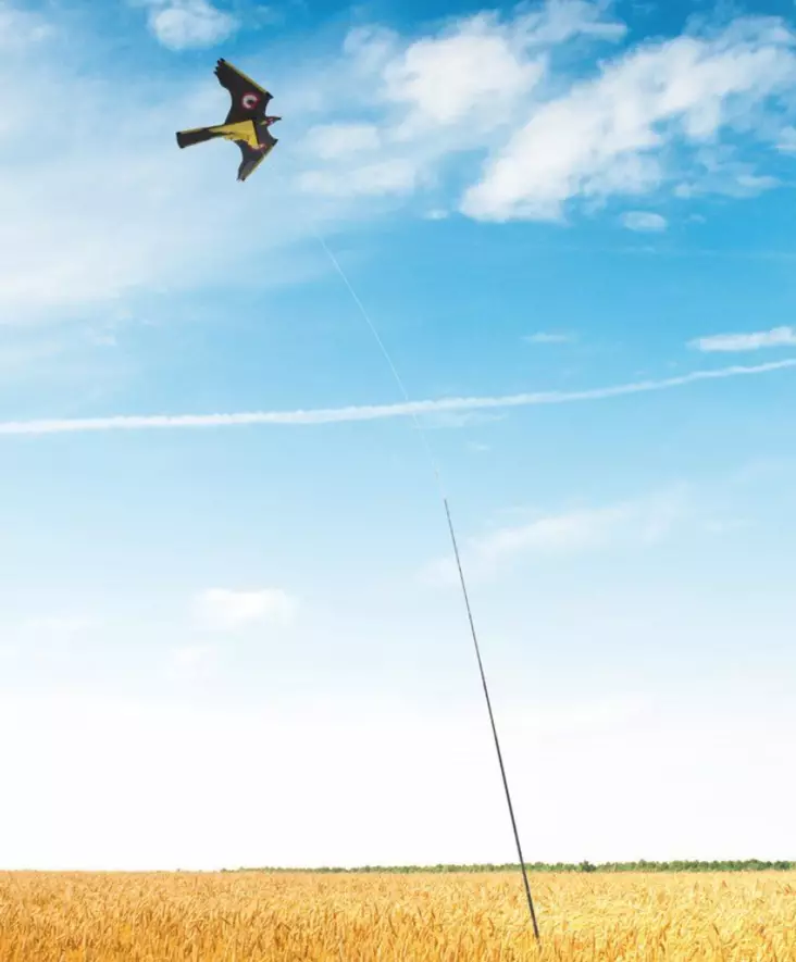 Fågelskrämma Draka 5 m - Fågelskydd - 6410413171992 - 1