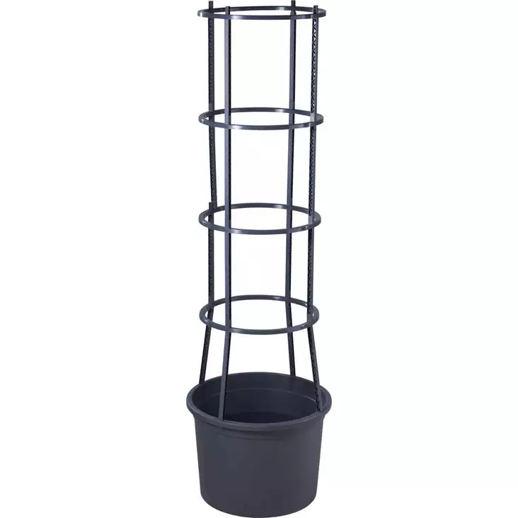 Tomatkruka med ram - Plantuppfödning - 8721037901802 - 1