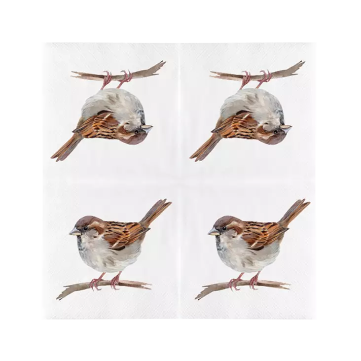 Fågel servetter 20 st/fp - Fågelrelaterade produkter - 8714982286452 - 1