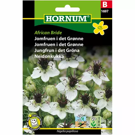 Spansk jungfru ´African Bride´ - Frön och sättpotatisar. - 5708787016973 - 1