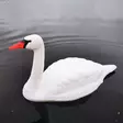 Flytande svan stor - Trädgårdsskulpturer, dekorationer - svm0000002253 - 6