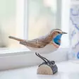 Wildlife Garden prydnadssparv Blåhake - Naturrelaterade produkter - WG433 - 1