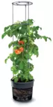 TomatoPot tomatodlingskruka - Plantuppfödning - 5905197289113 - 1