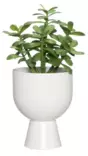 Kruka Nala 16 cm matt vit - Krukor, vaser, korgar - 6410416443843 - 2