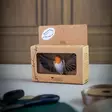 Wildlife Garden Forest Décor – rödhake i flykten - Naturrelaterade produkter - 7350054767248 - 3