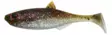 Patriot Baitfish jigg 6 cm - Beten och flugor - 6417512539463 - 1