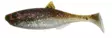 Patriot Baitfish jigg 8 cm - Beten och flugor - 6417512539623 - 1