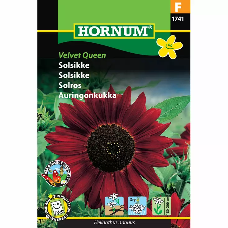 Solros ´Velvet Queen´ - Frön och sättpotatisar. - 5708787017413 - 1