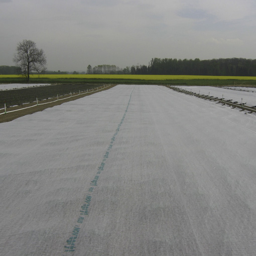 Fibernät för växthus 8,4x250m - Växtdukar - 6430040624173 - 2