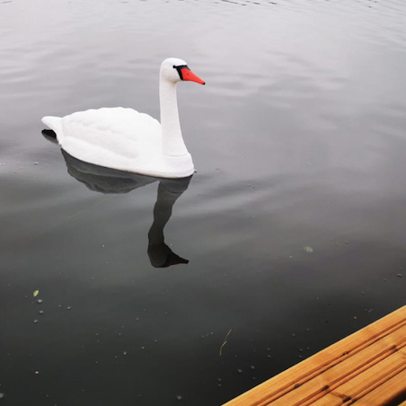 Flytande svan stor - Trädgårdsskulpturer, dekorationer - svm0000002253 - 3