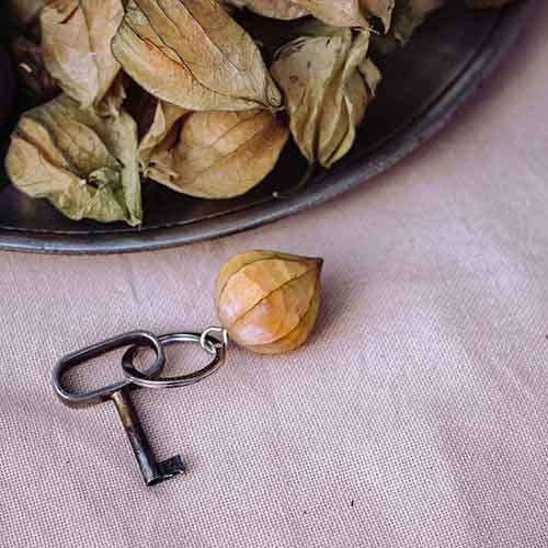 Wildlife Garden nyckelring Lyktgubbe - Naturrelaterade produkter - WG4703 - 1