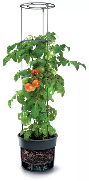 TomatoPot tomatodlingskruka - Plantuppfödning - 5905197289113 - 1