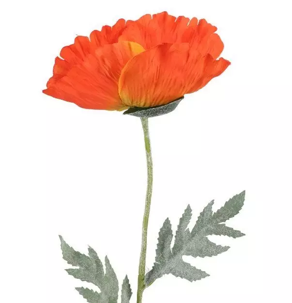 Jättevallmo 65 cm orange - Hobbyartiklar - 6410416440163 - 1