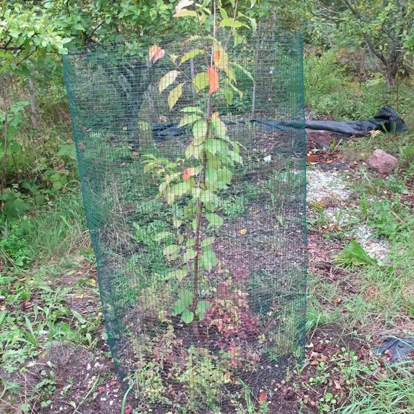 Sorkar nät grön 1,8 x 2,5 m - Stängselnät - 6430068433863 - 1