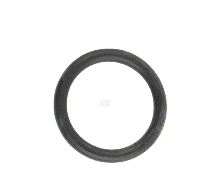 O-ring, passar Belarus - Motor - 8719607219983 - 1