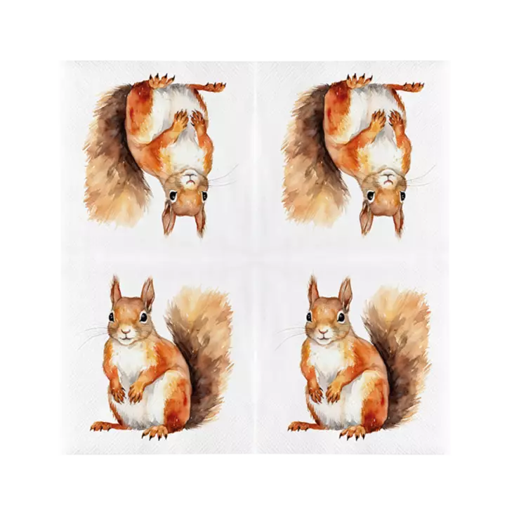 Orava servetter - Fågelrelaterade produkter - 8714982286483 - 1