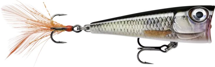 Rapala X-Light Pop 04 Levande Ruda - Beten och flugor - 022677348773 - 1