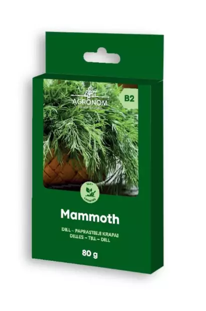 Tilli 'Mammoth' 80g - Frön och sättpotatisar. - 4770168920934 - 1