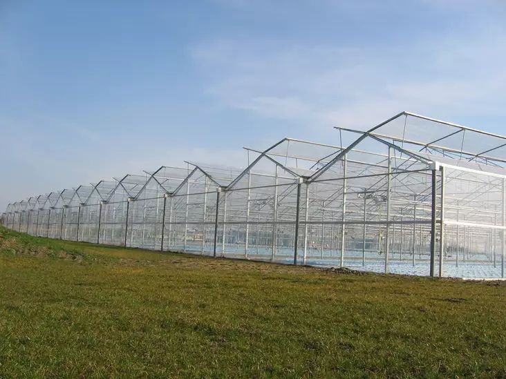 EVA-växthusfilm 6,5 x 25 m - Växthusplaster - 6430040622414 - 2