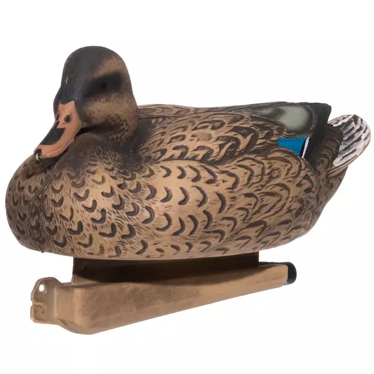 Lockandhona - Lockbilder och lockpiper - 6410416305424 - 1