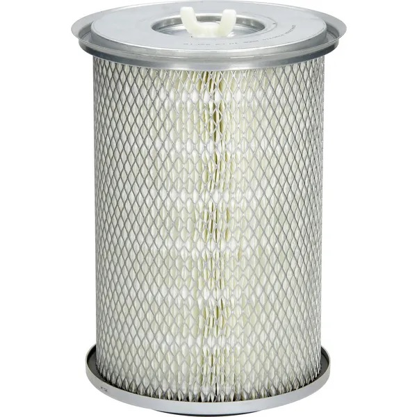 Luftrenare Donaldson P780310 - Luftfilter - 742330108444 - 1