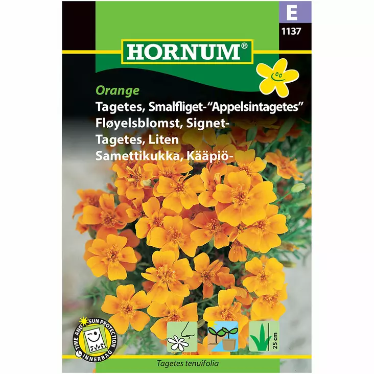 Dvärg Tagetes ´Orange´ - Frön och sättpotatisar. - 5708787011374 - 1