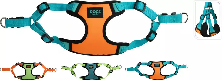 Färgglada hundselar - Koppel och halsband - 8720573504034 - 1