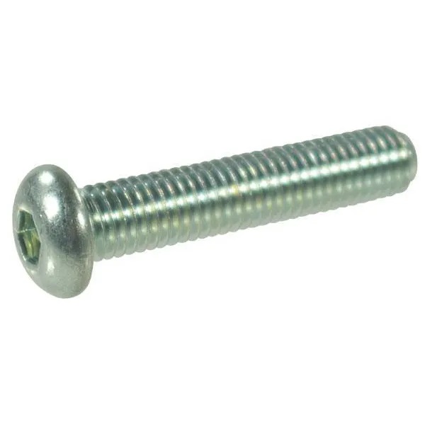 Skruv med cylindrisk ände M10 10.9 förzinkad - Bultar och muttrar, metrisk gänga - 8716024691644 - 1