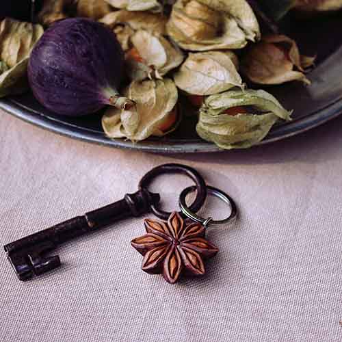 Wildlife Garden nyckelring Stjärnill - Naturrelaterade produkter - WG4704 - 1