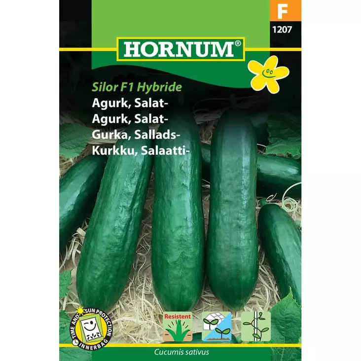 Salladsgurka ‘Silor F1 Hybrid’ - Frön och sättpotatisar. - 5708787012074 - 1