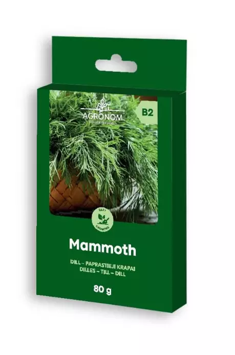 Tilli 'Mammoth' 80g - Frön och sättpotatisar. - 4770168920934 - 1