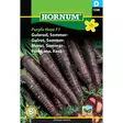 Sommar morot 'Purple Haze F1' - Frön och sättpotatisar. - 5708787013965 - 1