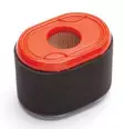 Luftfilter B&S 796970 - Reservdelar för lokal motorer - 024847716955 - 1