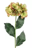 Grön hortensia 60 cm - Hobbyartiklar - 6410416486925 - 1