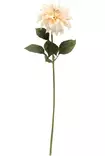 Dahlia 74 cm krämfärgad - Hobbyartiklar - 6410416567785 - 2