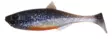 Patriot Baitfish jigg 6 cm - Beten och flugor - 6417512539425 - 1
