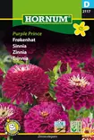Zinnia ´Purple Prince´ - Frön och sättpotatisar. - 5708787021175 - 1