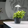 Umbrella växtlampa LED - Plantuppfödning - 8714982211485 - 3