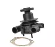 Vattenpump, passar MF, Landini, Leyland - Kylning - 8716106065615 - 1