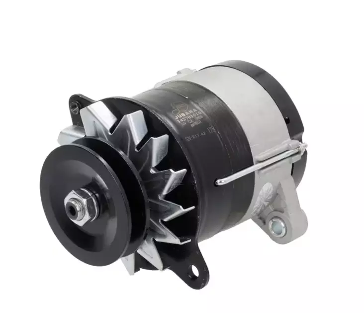 14 V 1000 W Laddare, passar Belarus - Motor - 8719607144575 - 1