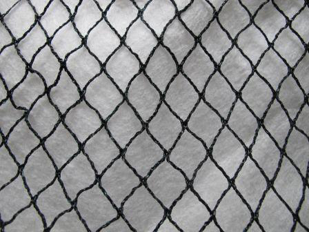 Fågelskyddsnät Pro 10x12 m - Fågelskydd - 6430040629475 - 1