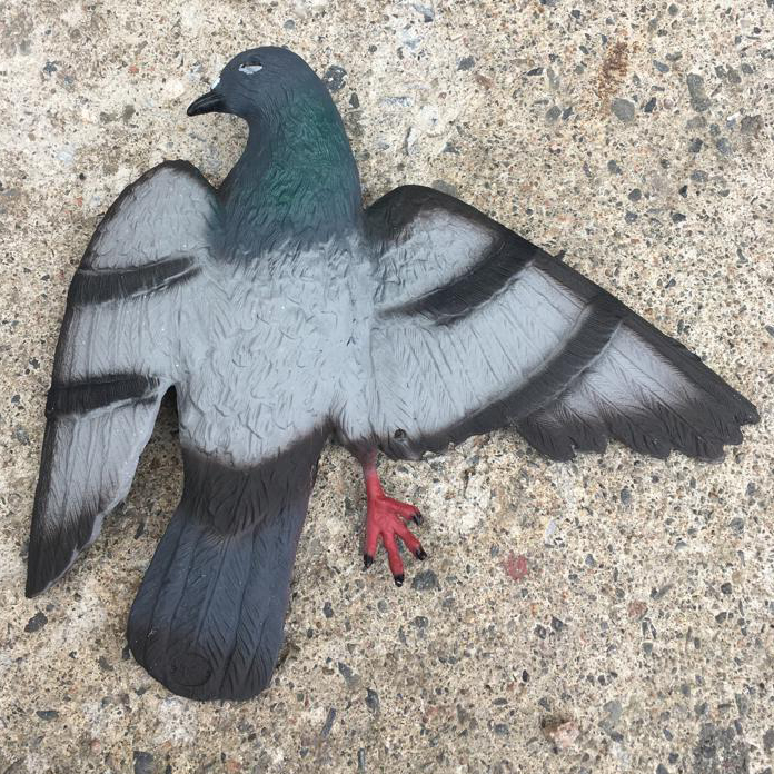 Duva avskräckningsbild - Fågelskydd - svm0000002255 - 1