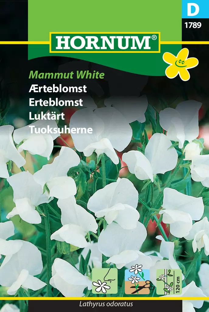 Doft ärta 'Mammut White' - Frön och sättpotatisar. - 5708787017895 - 1